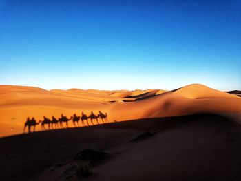 Scenic view of desert against blue sky