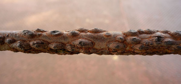 Close-up of rusty metal