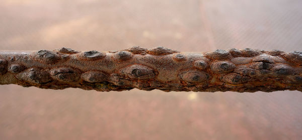 Close-up of rusty metal