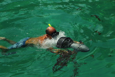 High angle view of turtle swimming in pool