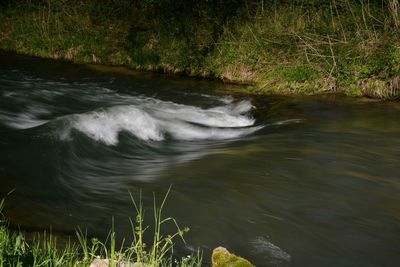 Stream flowing through a forest