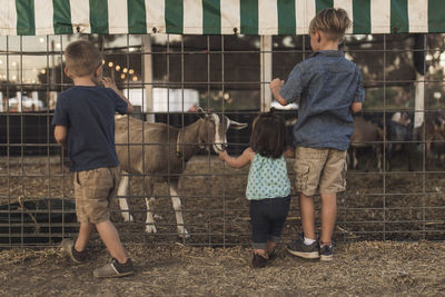 Rear view of siblings looking at goat in animal pen