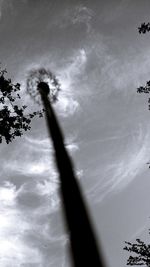 Low angle view of birds flying in sky