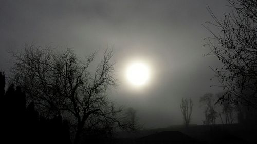 Low angle view of bare trees against sky at sunset