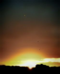 Silhouette birds flying against sky during sunset