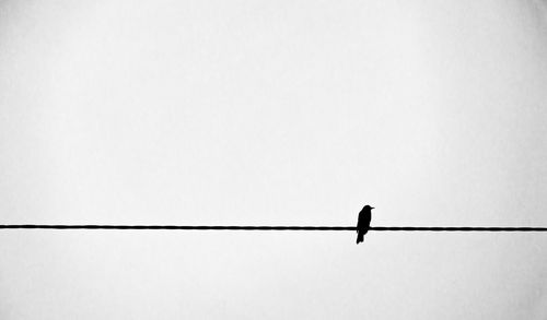 Low angle view of cables against clear sky