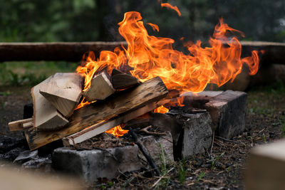 Close-up of fire on log in field