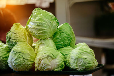 Green cabbage at farmers' market