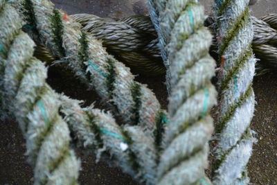 Close-up of rope on footpath