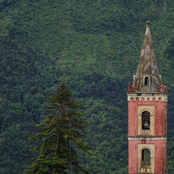 View of tower amidst trees and building