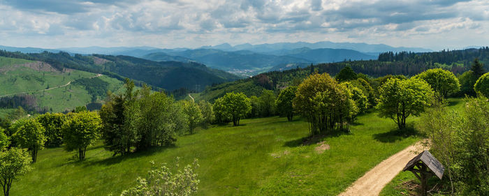 Scenic view of trees and mountains against sky