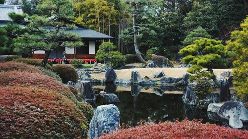 View of cemetery against trees