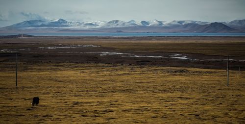 Scenic view of landscape and mountains against sky