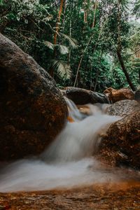 Water flowing through rocks in forest