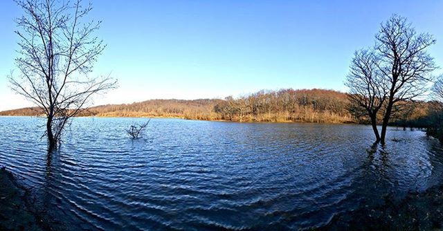 water, bare tree, tree, clear sky, tranquil scene, tranquility, lake, scenics, blue, rippled, beauty in nature, nature, river, sky, reflection, lakeshore, idyllic, day, waterfront, non-urban scene