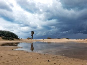 Scenic view of beach against sky