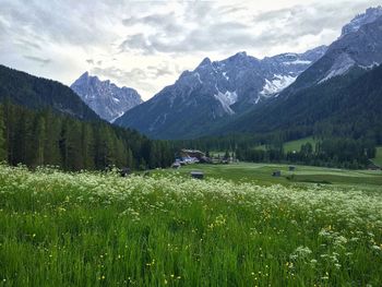 Scenic view of landscape against cloudy sky