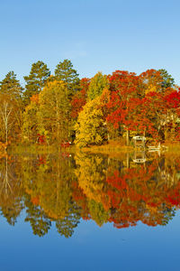 Reflection of trees in lake against clear sky