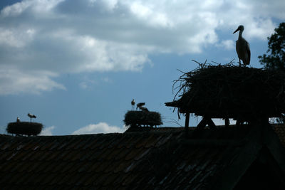 Birds perching on roof against sky