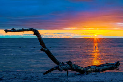 Driftwood on beach against sky during sunset