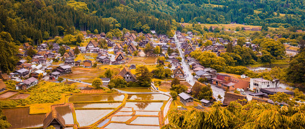 High angle view of trees and houses in town