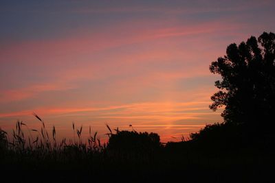 Silhouette trees on field against romantic sky at sunset