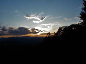 Silhouette trees on field against sky at sunset