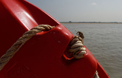 Cropped hand of woman holding boat