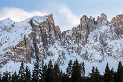 Pine trees and snowcapped latemar mountain against sky - dolomites, south tyrol, italy 