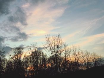 Low angle view of silhouette trees against sky