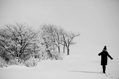 Bare trees on snow covered landscape