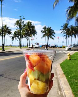 Cropped hand holding sliced fruits in disposable cup on road