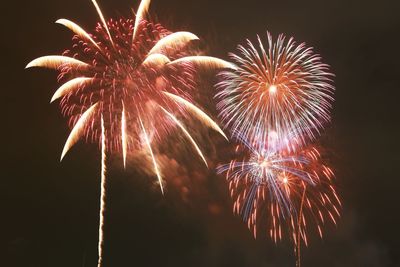 Low angle view of firework display at night