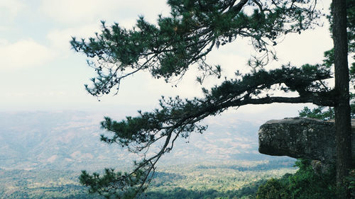 Scenic view of tree mountains against sky