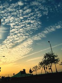 Silhouette of trees at sunset