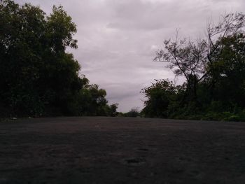 Road by trees against sky