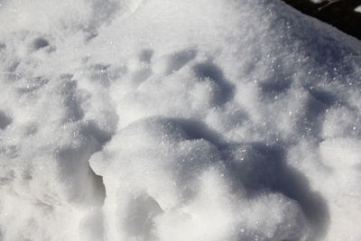 Close-up of snow