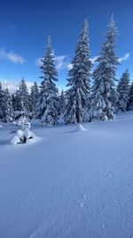 Snow covered landscape against sky