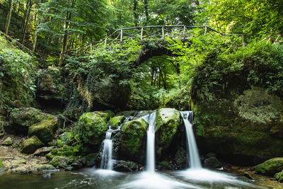 Scenic view of waterfall in forest