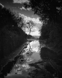 Scenic view of river amidst trees against sky