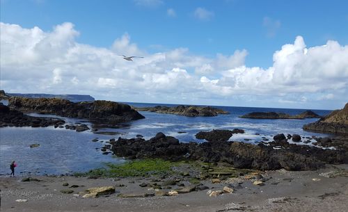 Scenic view of sea against sky