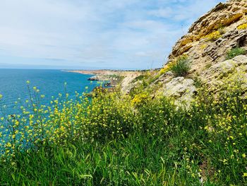 Scenic view of sea against sky