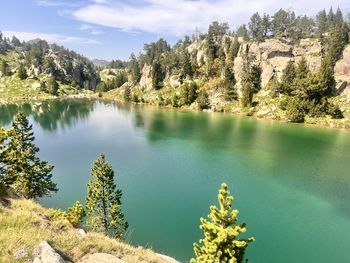 nature