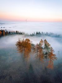 Scenic view of trees against sky during sunset