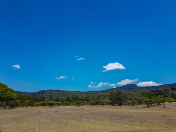 Scenic view of field against blue sky