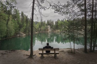 Rear view of woman sitting by lake against trees