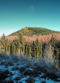 Scenic view of landscape against clear sky