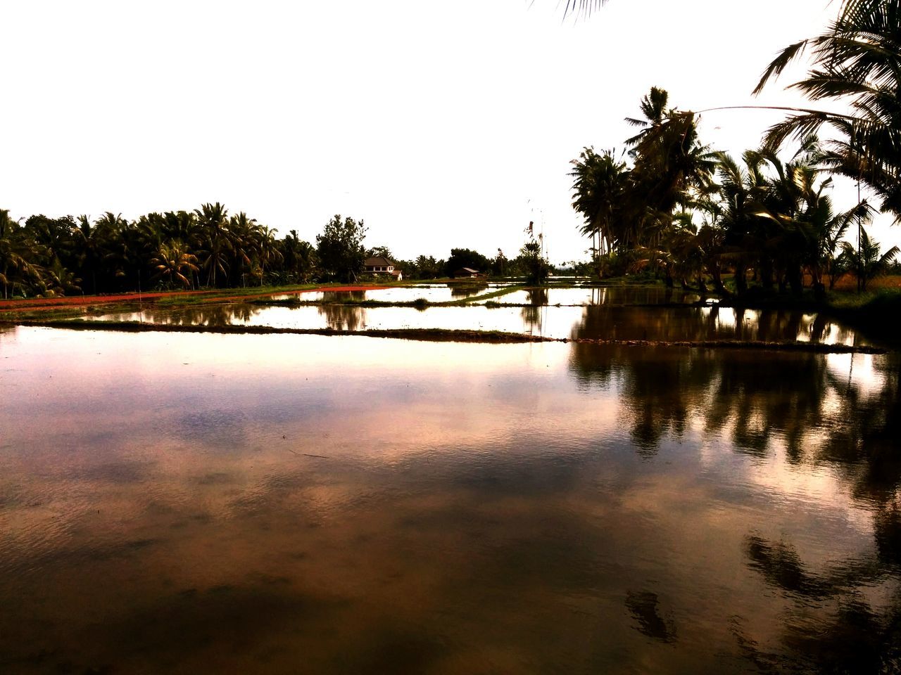 water, reflection, tree, clear sky, tranquility, tranquil scene, lake, scenics, waterfront, beauty in nature, copy space, nature, silhouette, sky, idyllic, river, calm, standing water, outdoors