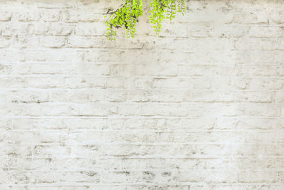 Full frame shot of concrete wall