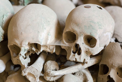 Close-up of human skull